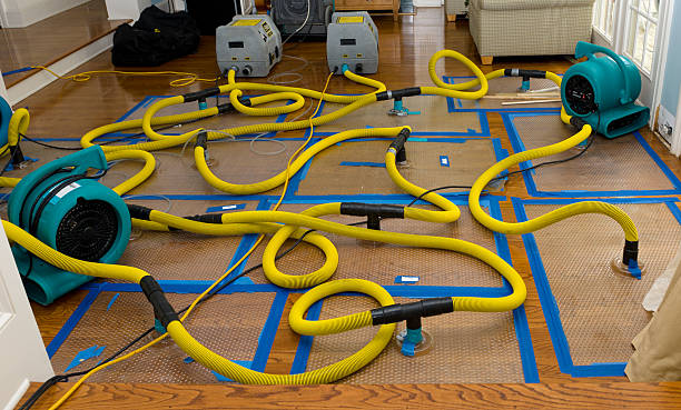 Professional Water Damage Restoration technician working in Lansdowne, VA